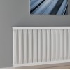 Radfin Horizontal Radfin Horizontal